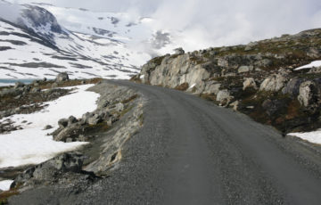 EØS-motstanderne på ville veier