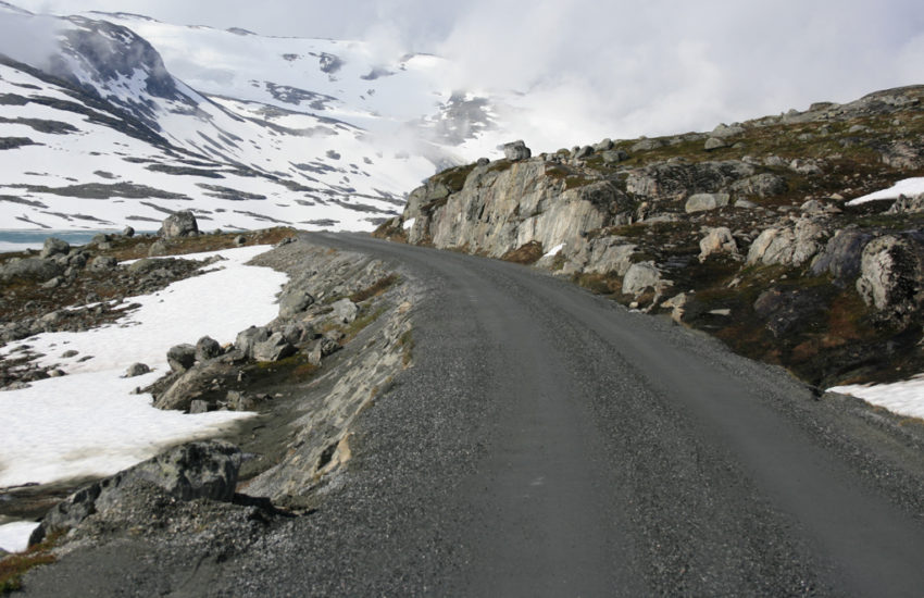 EØS-motstanderne på ville veier